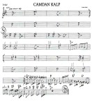 camdan kalp    f.arar