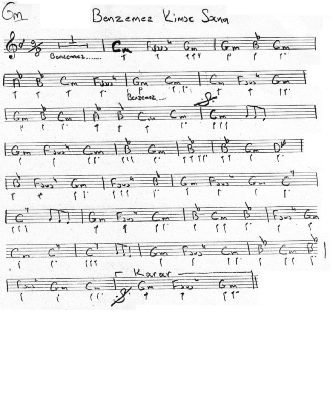 benzemez kimse sana verse