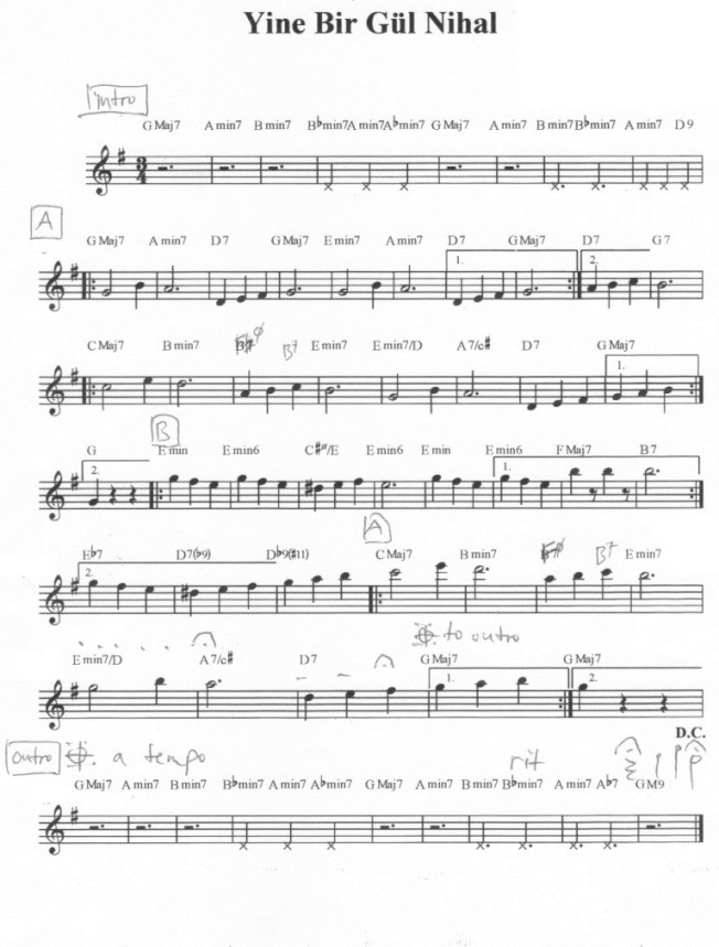 yine bir gülnihal (2)