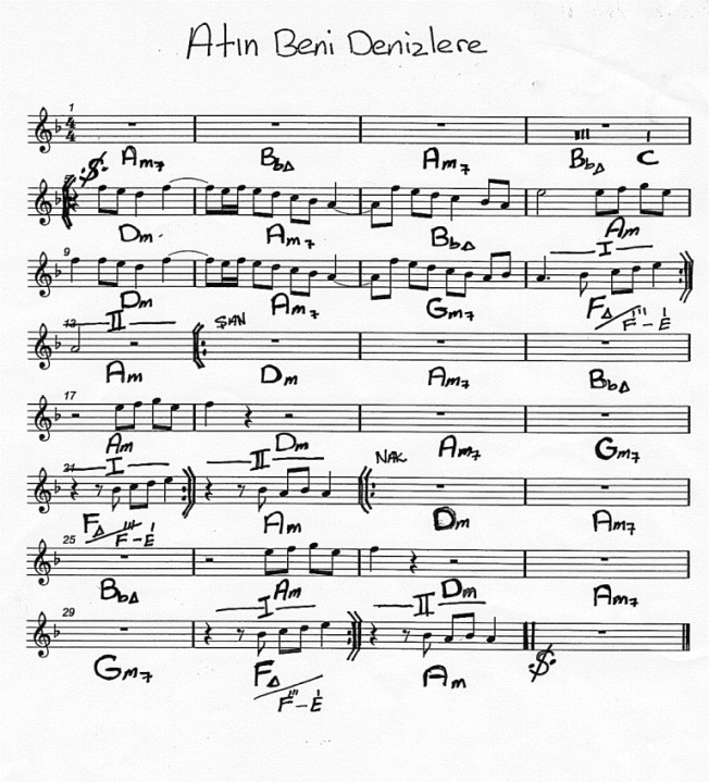 atın beni denizlere