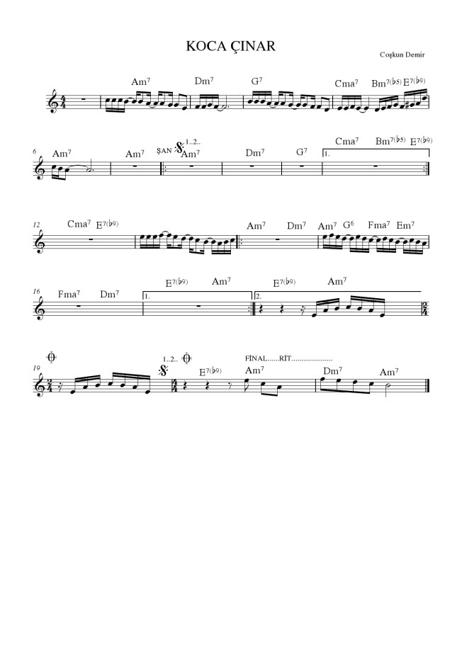 koca çınar  c.demir