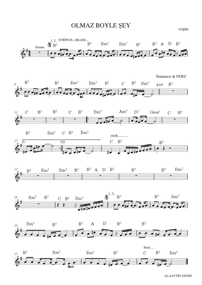 olmaz böyle şey  yeşim