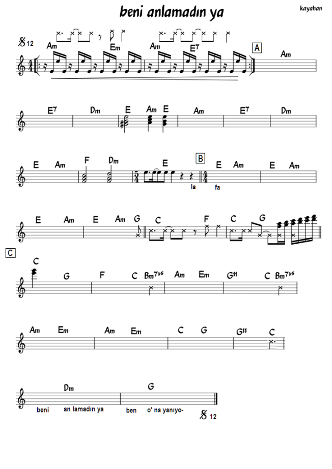 beni anlamadın ya    k