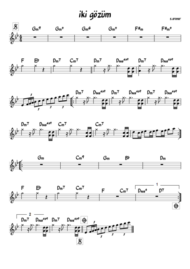 iki gözüm   s.erener