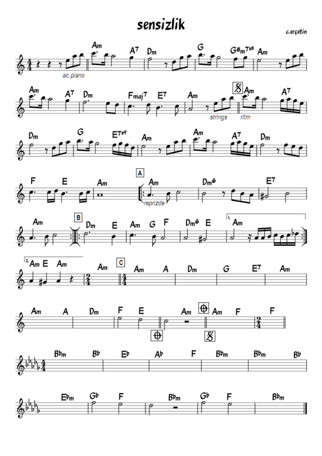 sensizlik  c.erçetin