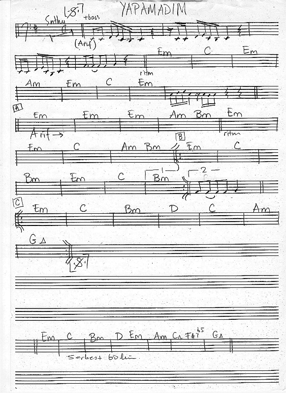 yapamadım   b.demir