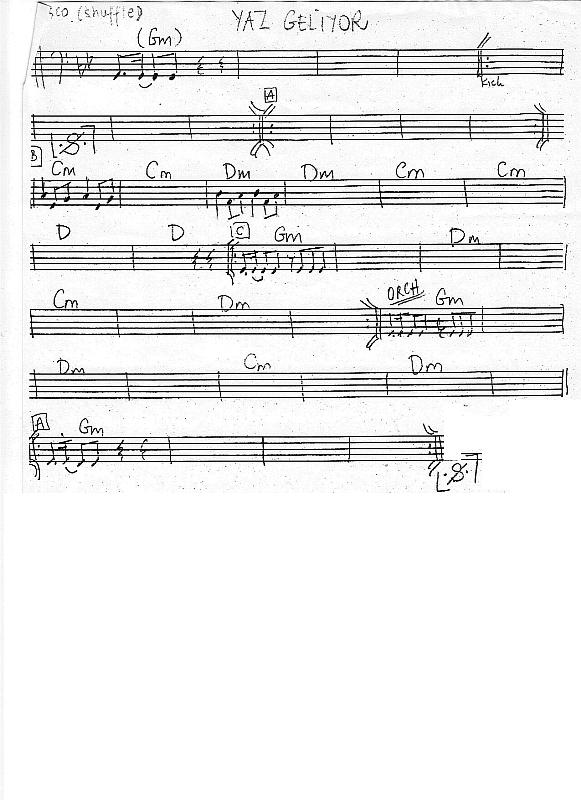 yaz geliyor  b.demir